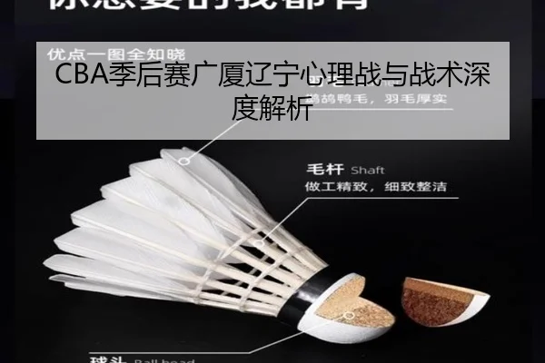 CBA季后赛广厦辽宁心理战与战术深度解析